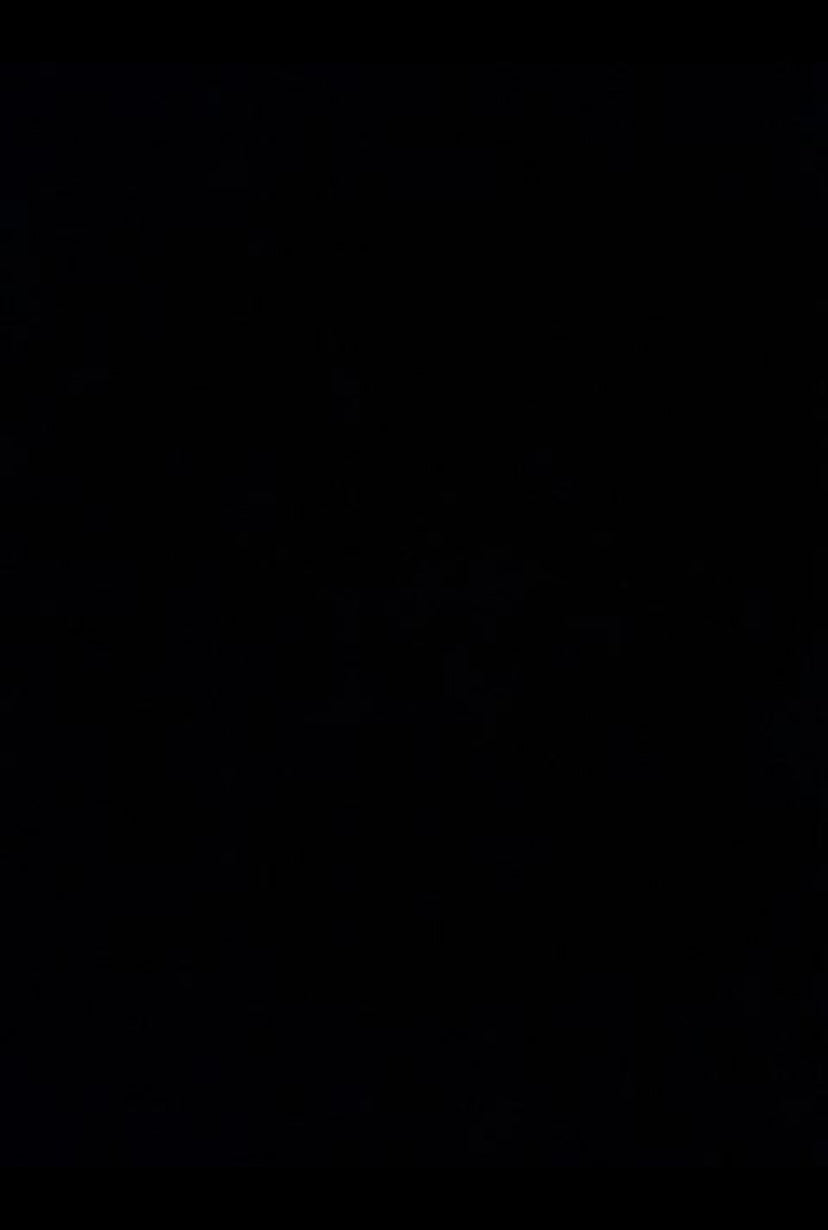 Plov anker rustfri stål